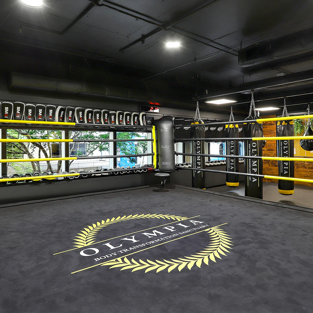 5m Boxing Ring - Competition - Image 5