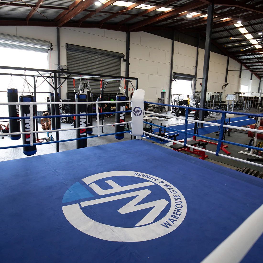 5m Boxing Ring - Competition - Image 8