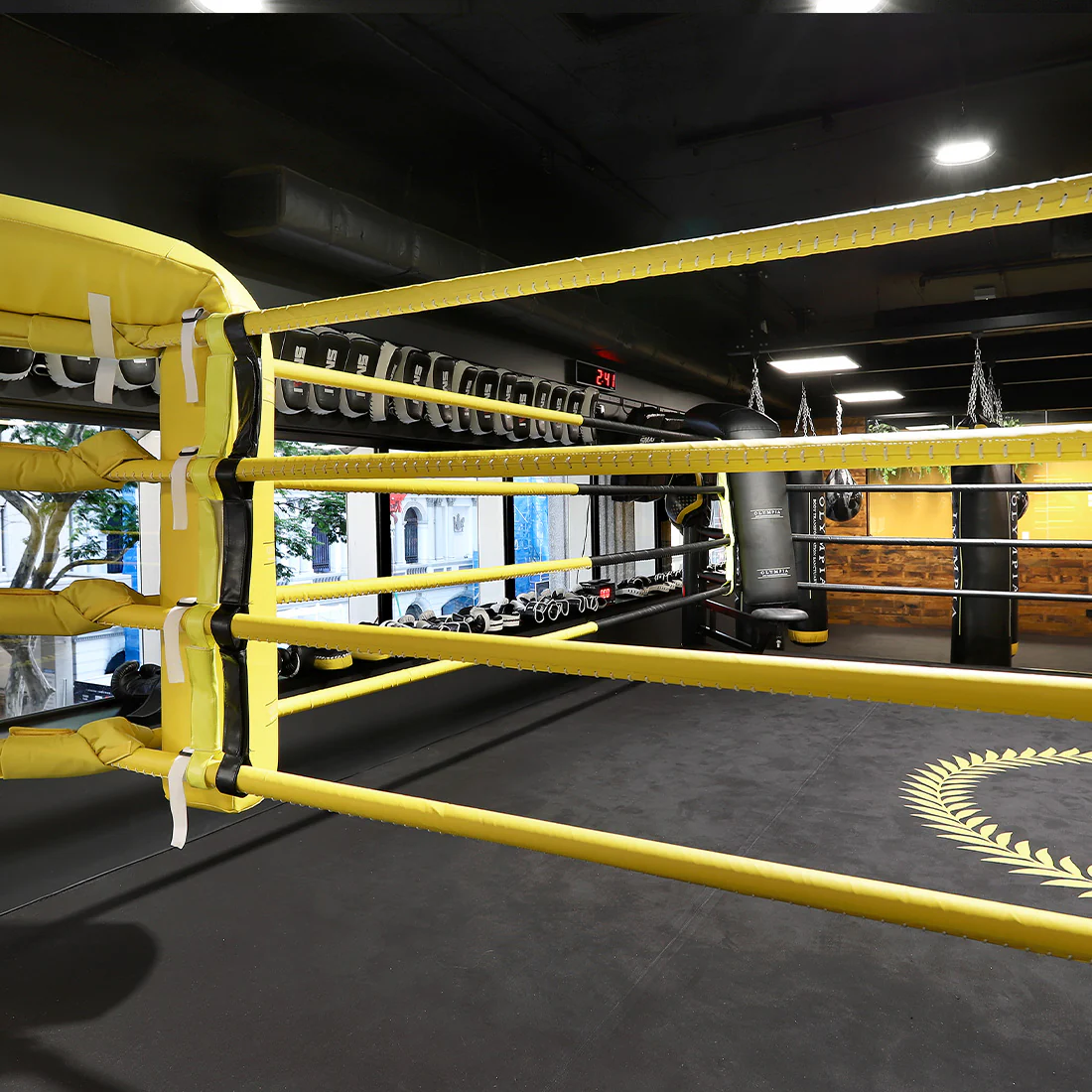 6m Boxing Ring - Competition - Image 5