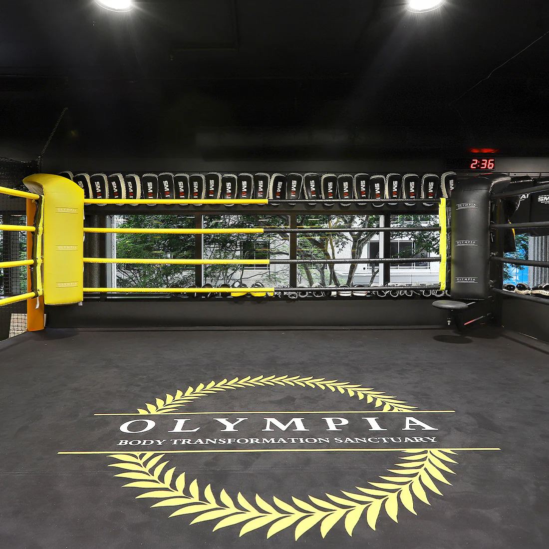 6m Boxing Ring - Competition - Image 6